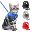 Pet Leash And Harness