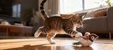 Tabby cat playing with a toy on a wooden floor in a living room.
