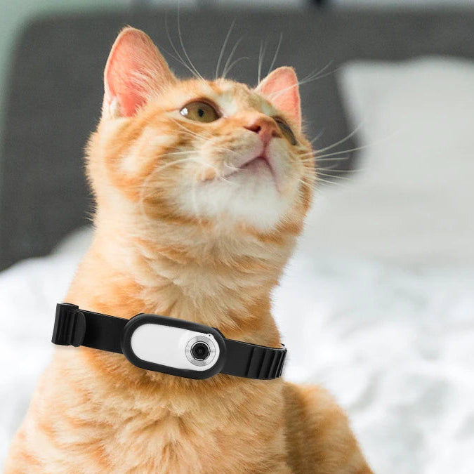 Camera Collar for Cats & Dogs