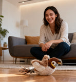Interactive Bird Cat Toy