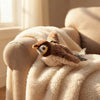 Interactive Fluffy Bird Cat Toy
