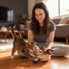 Interactive Fluffy Bird Cat Toy